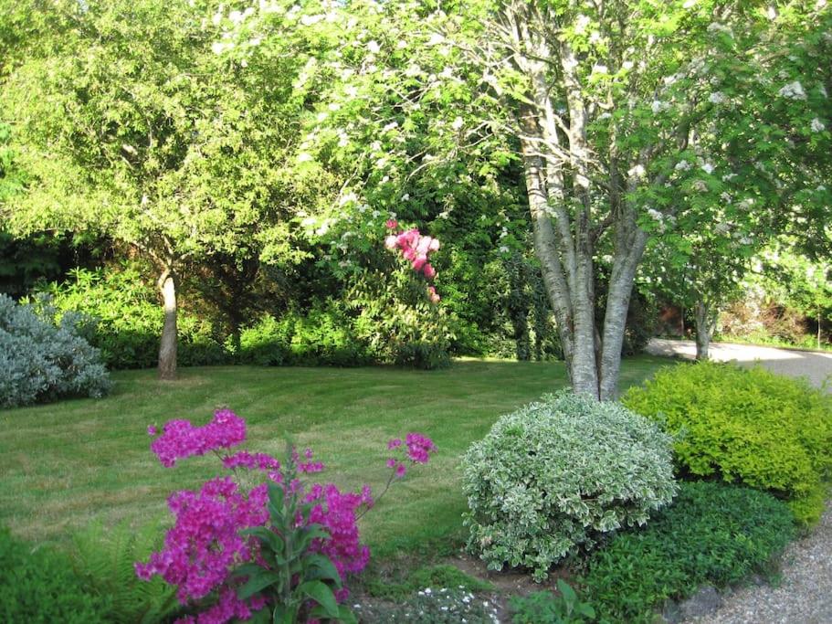 um jardim com flores roxas e uma árvore em Self catering apartment at Beechwalk House. em Enniskerry