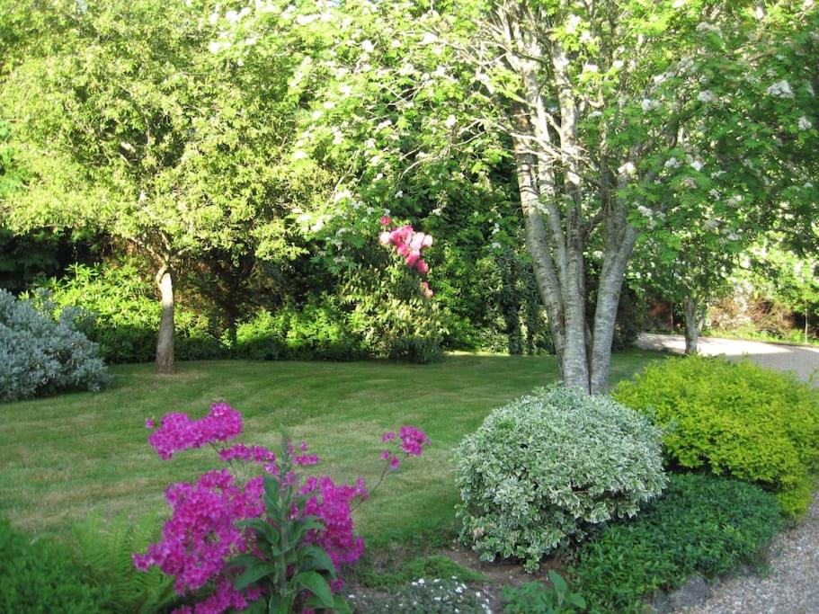 Zahrada ubytování Self catering apartment at Beechwalk House.