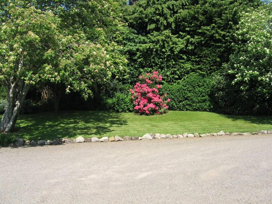 Zahrada ubytování Self catering apartment at Beechwalk House.