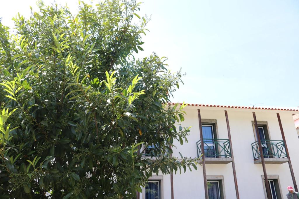 Budova, kde se hostel nachází
