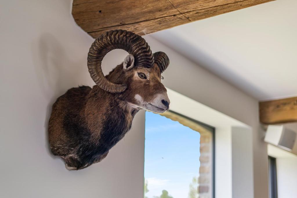 Zvířata v prázdninového domu nebo okolí