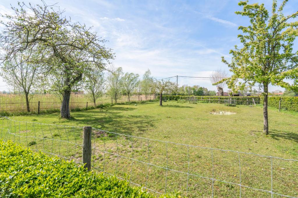 Zahrada ubytování Hoeve De Zuidhoek