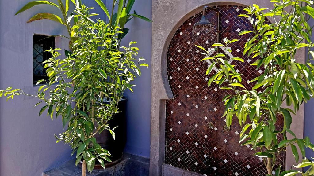 Zahrada ubytování Riad Pourpre Medina
