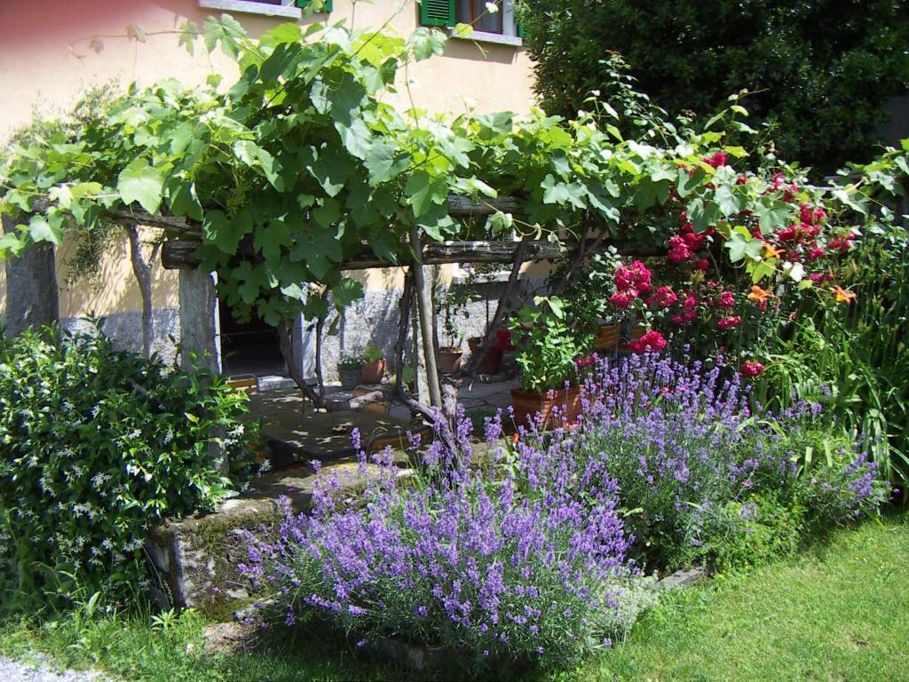 Zahrada ubytování Casa Gialla B&B