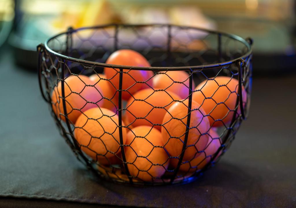 Nouvel Hôtel - Resim 42