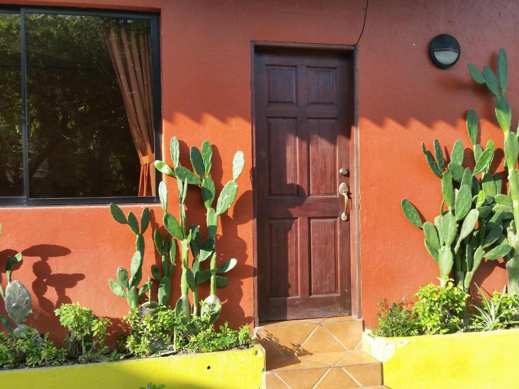 Zahrada ubytování Hotel Cabinas Mar Y Cielo