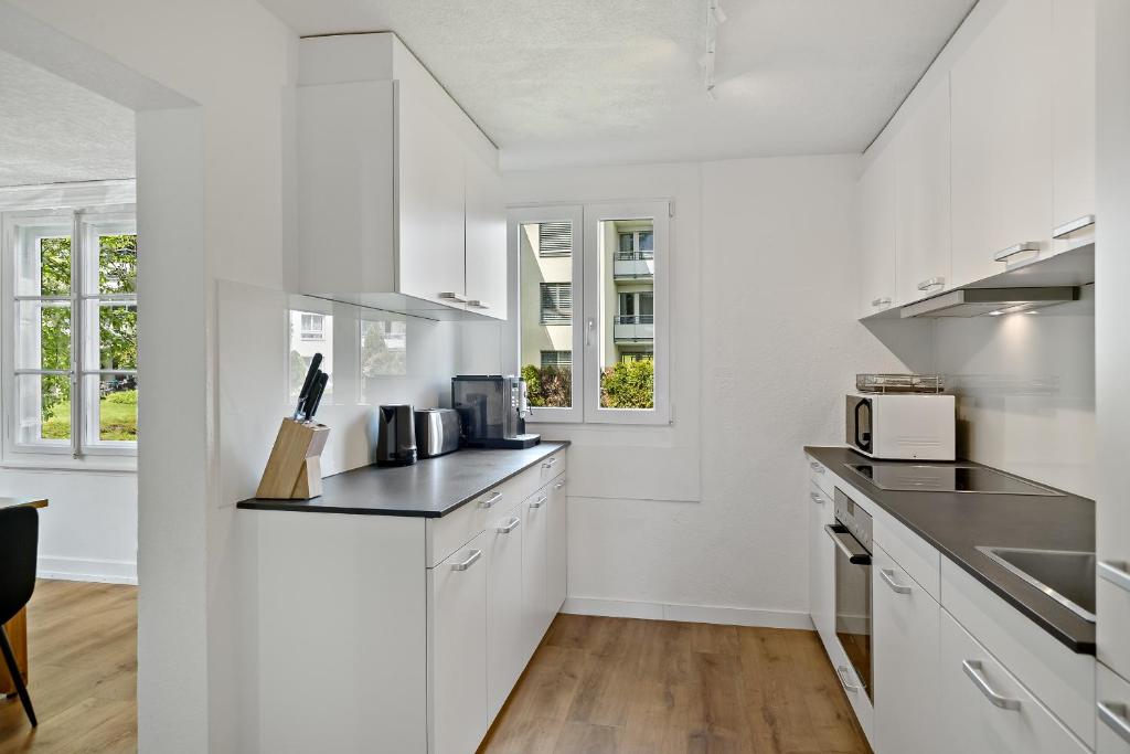 Kuchyň nebo kuchyňský kout v ubytování Erlen Rooms