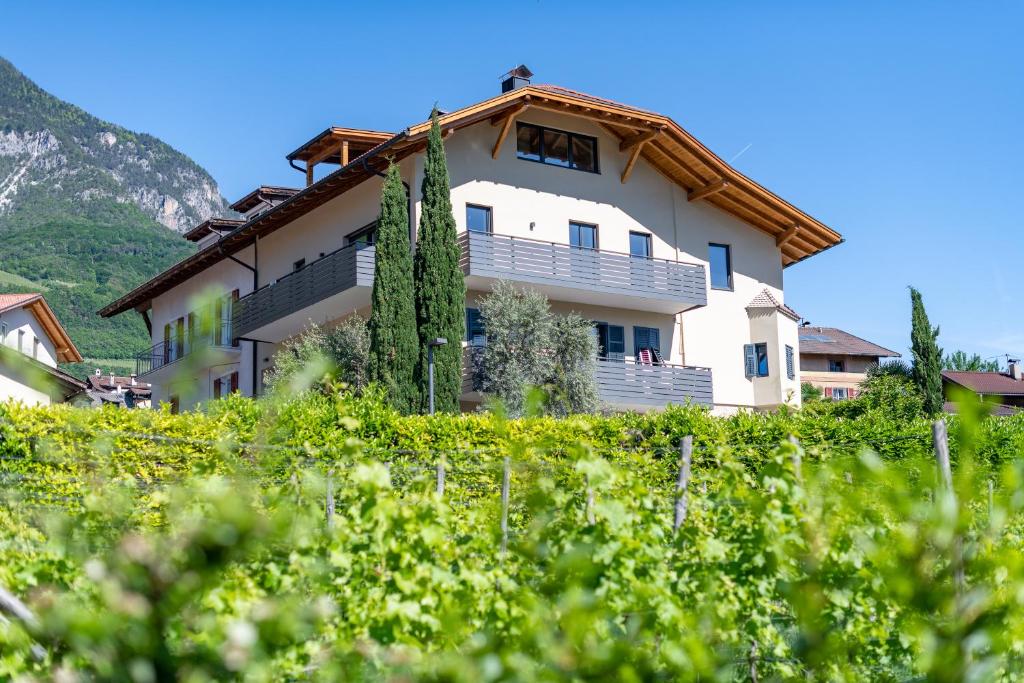 una casa en una colina en las montañas en Appartments DAS Hubertus, en Termeno