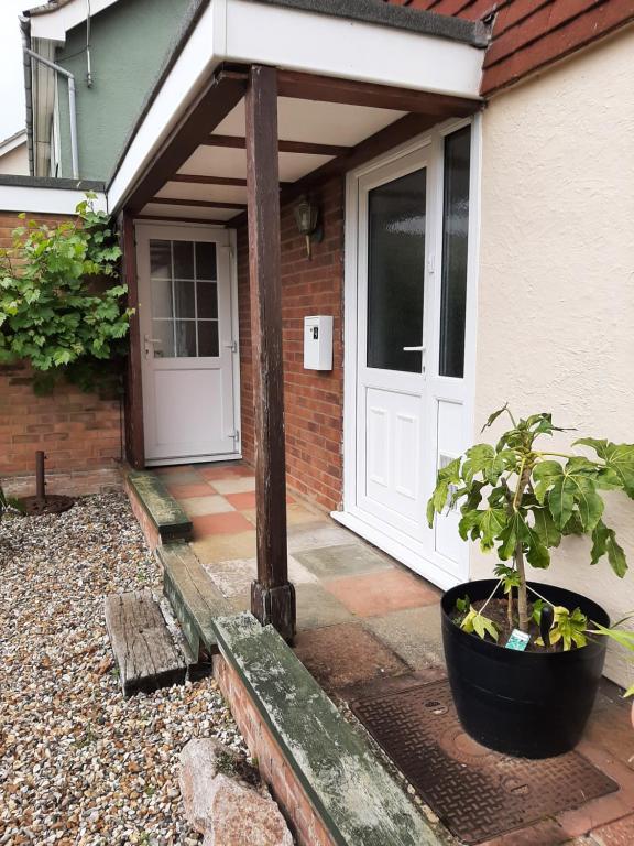 una porta d'ingresso di una casa con una pianta in vaso di Mildenhall Suffolk a Mildenhall