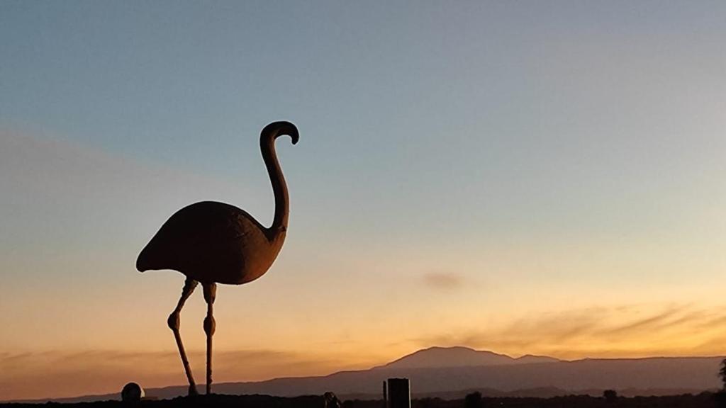Foto sihtkohas San Pedro de Atacama asuva majutusasutuse Cabañas Voyage Atacama galeriist