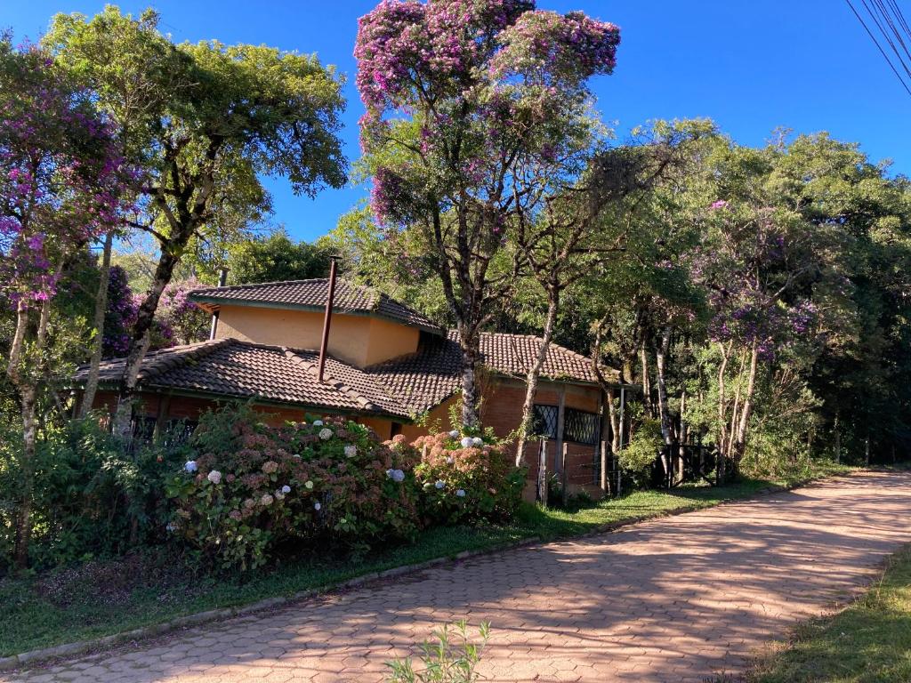 dom przy drodze z drzewami w obiekcie Recanto Alpinista natureza e aventura para família e casais de amigos w mieście Monte Verde