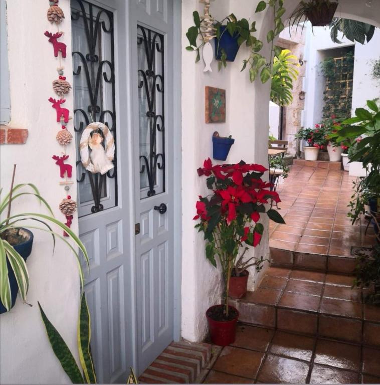 Fotografia z galérie ubytovania Besara Vejer v destinácii Vejer de la Frontera