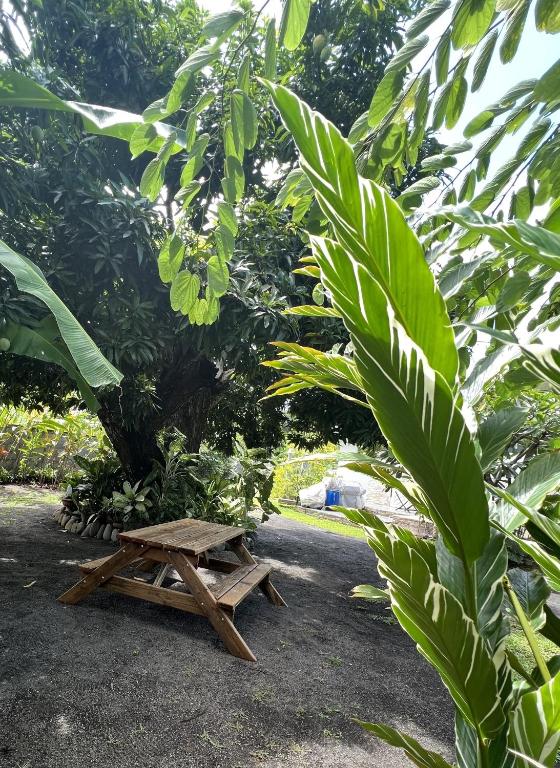 Pension pare lodge - photo 4 - Tahiti, Polynésie