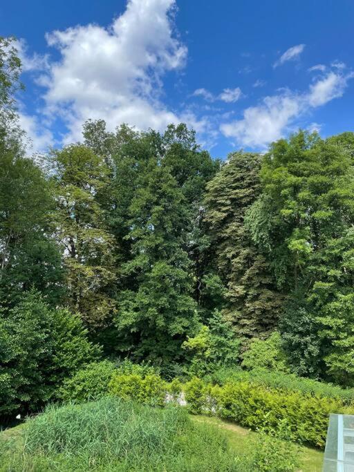 eine Gruppe von Bäumen und Sträuchern auf einem Feld in der Unterkunft Urlaub im Naturschutzgebiet in Detmold