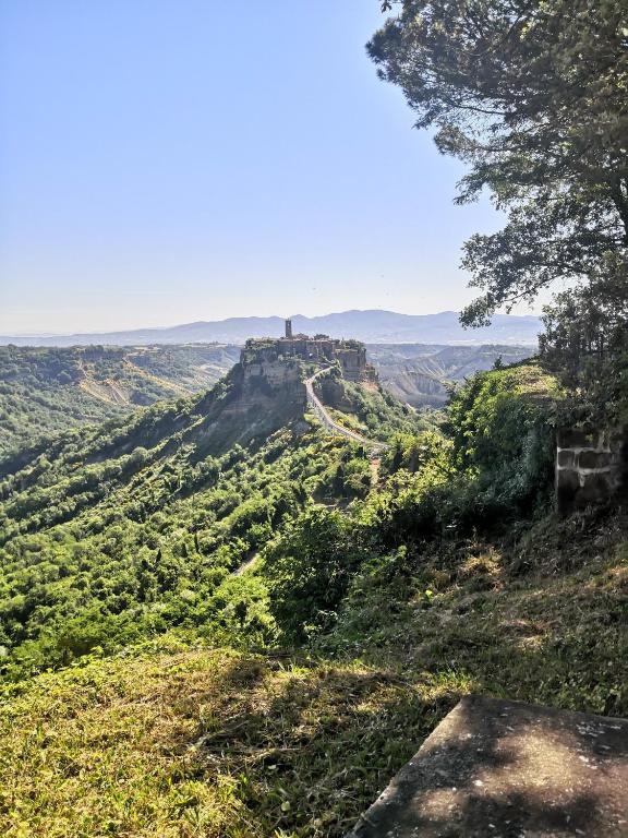 Příroda nedaleko apartmánu