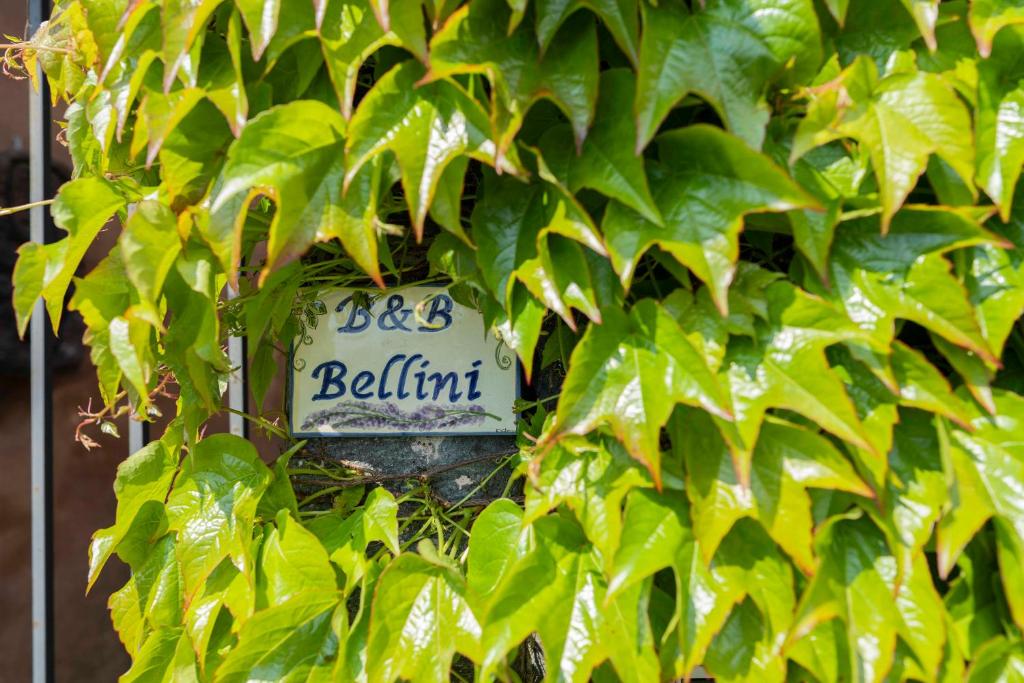 ミーロにあるB&B Belliniの緑葉の標識