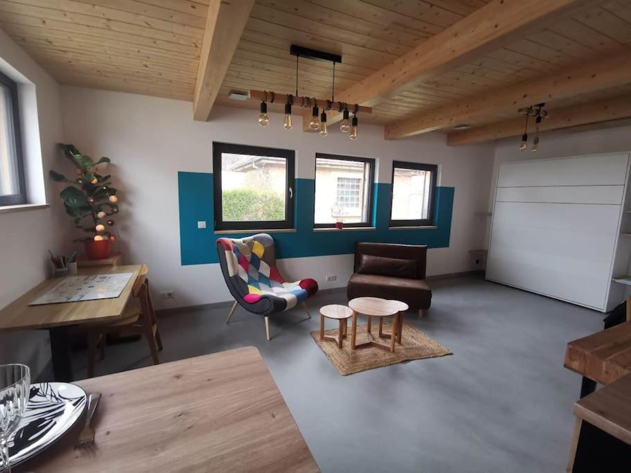 a living room with a couch and a table at Studio cocooning Betschdorf in Oberbetschdorf
