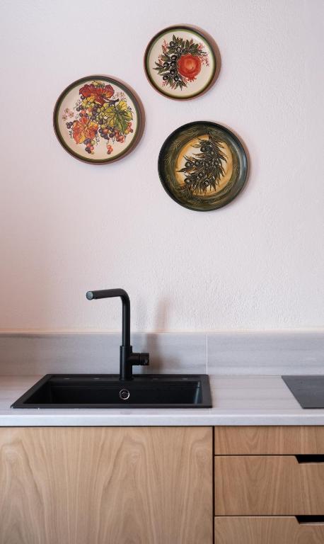 Kuchyň nebo kuchyňský kout v ubytování Kalnterimi Guesthouses