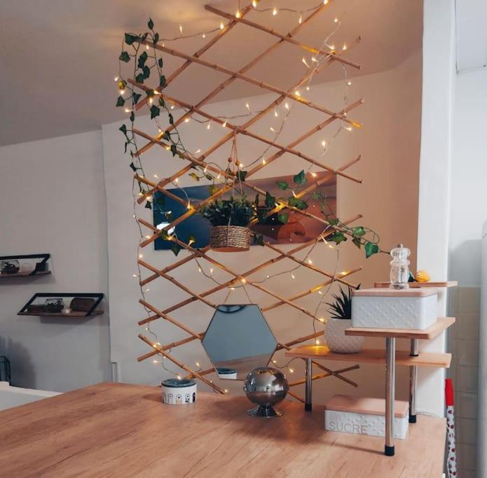 a christmas tree with lights on a wall at Maison de village type 2 in Sainte-Croix-de-Verdon