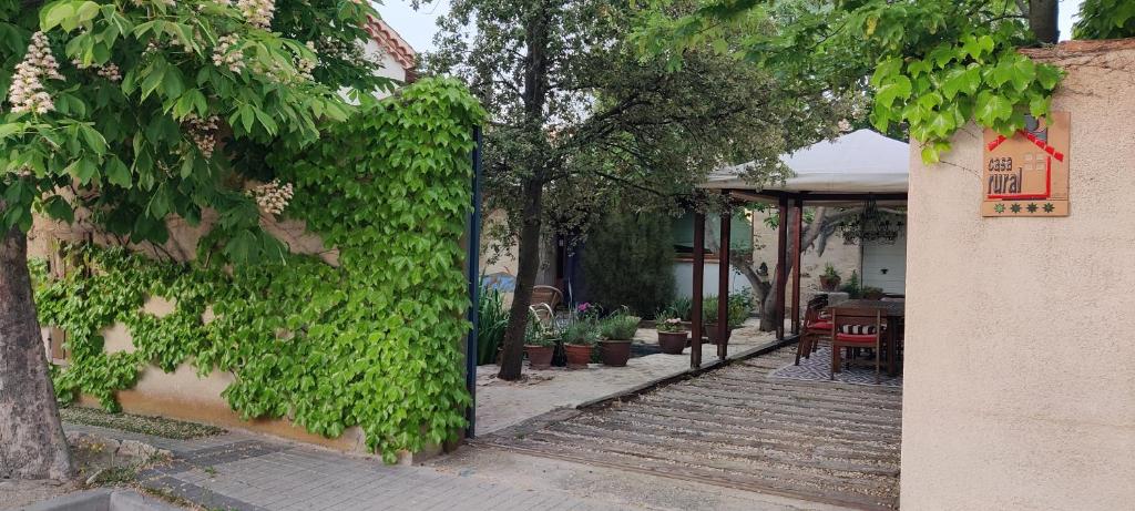 Zahrada ubytování Viento de Ladera PISCINA NATURAL y JACUZZI EXT