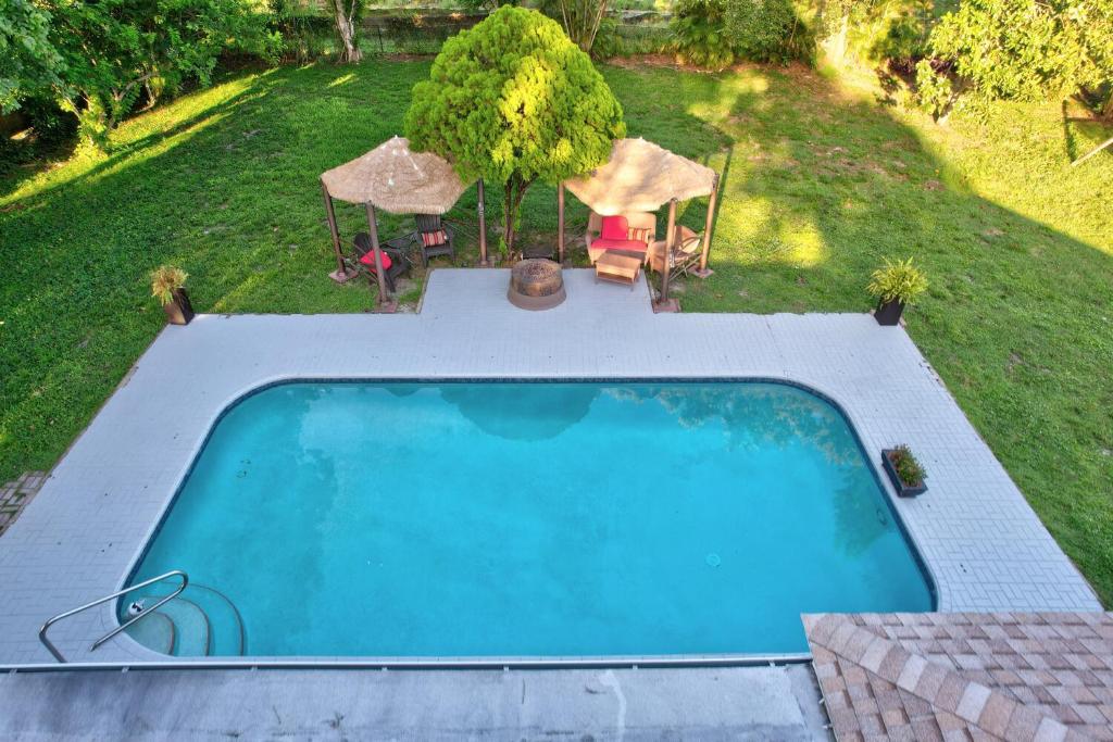 an overhead view of a swimming pool in a yard at Modern 6/3 Equestrian Paradise in Wellington