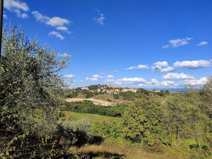 een uitzicht op een heuvel met bomen en een huis bij tre case in Gambassi Terme
