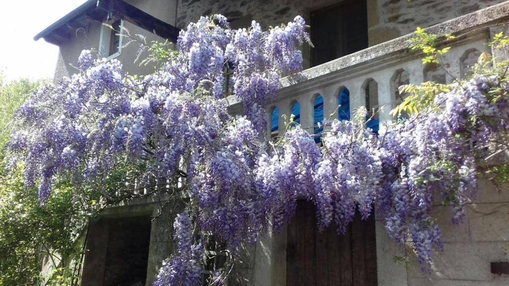 a wreath of purple flowers hanging from a building at Maison de la Carrérie, gîte de charme à Calmont 12450 in Calmont