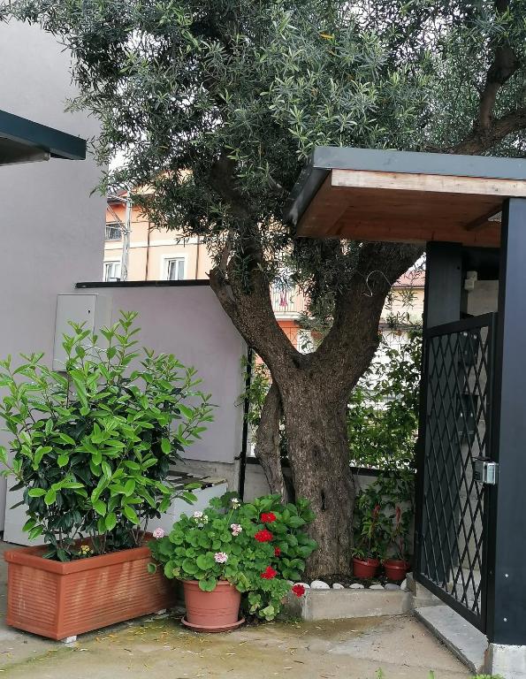 Ogród w obiekcie villa Grazia