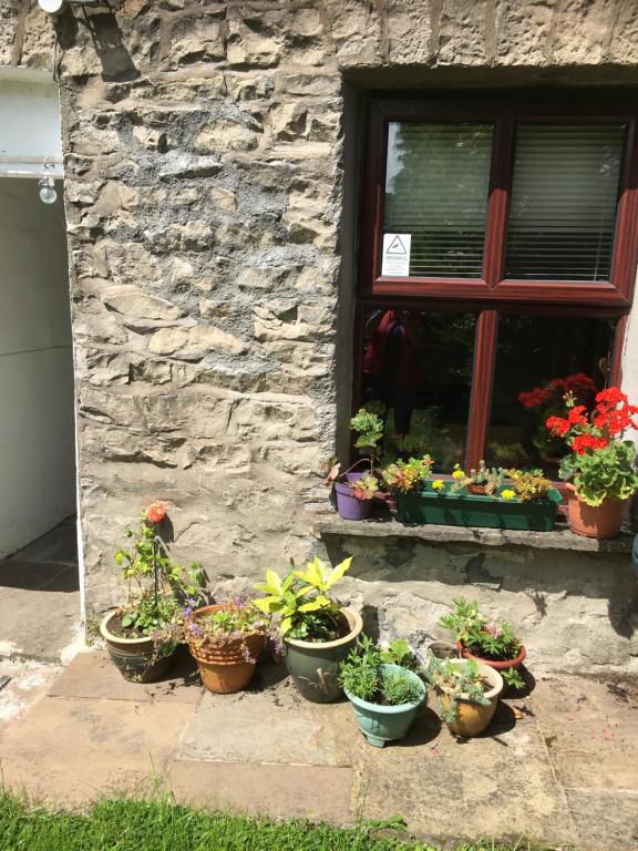Zahrada ubytování Kasbah cosy cottage Kendal