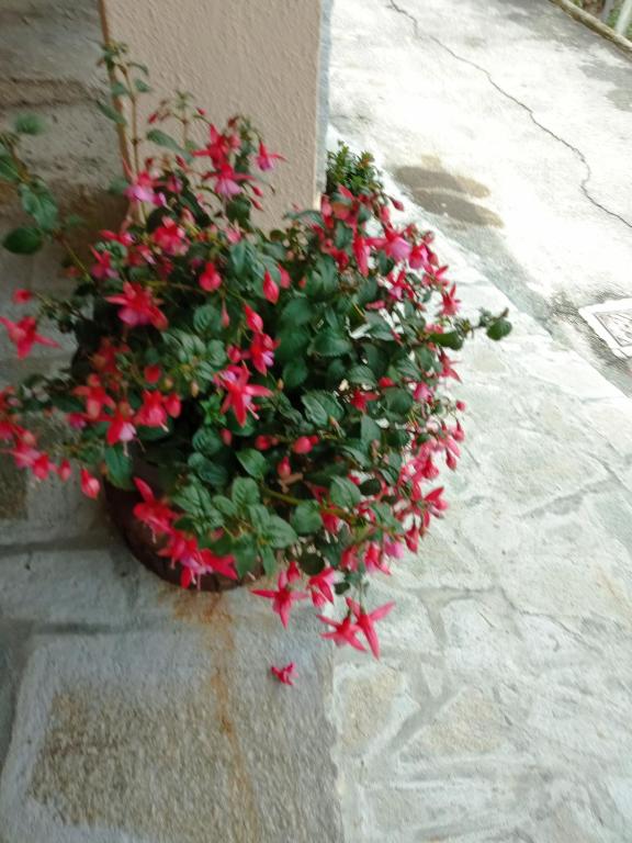 Zahrada ubytování Agriturismo U'Spigu Nonna Annetta
