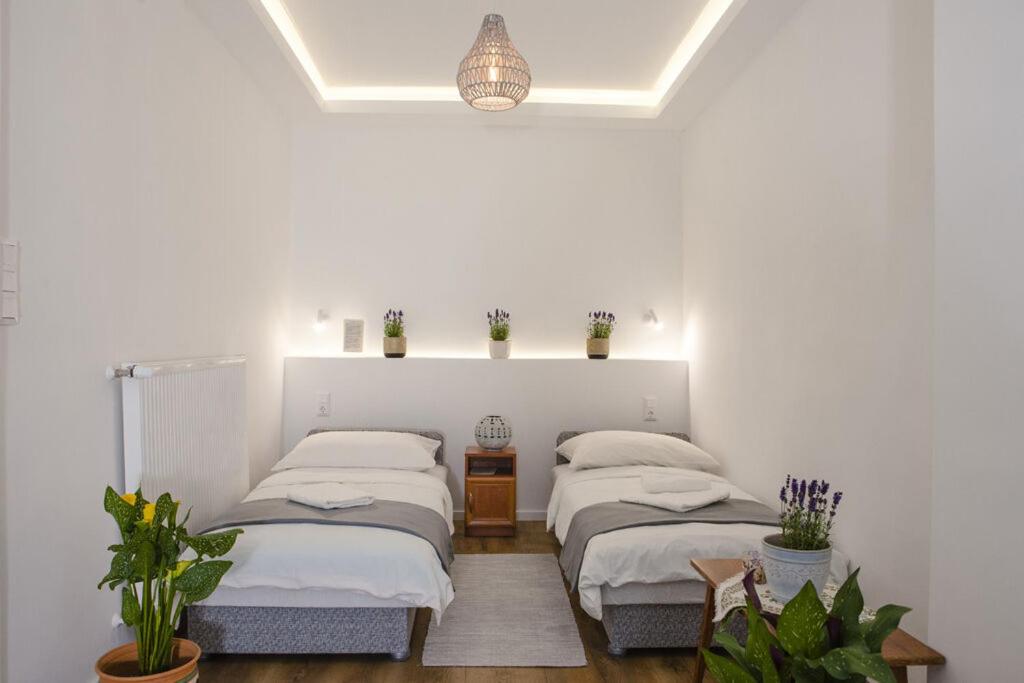 two beds in a white room with potted plants at Hegyalja Étterem és Panzió in Zsámbék