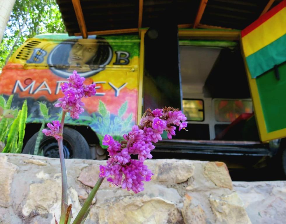 Zahrada ubytování Kombi Hostel Camping