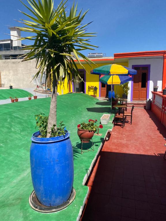 Bazén v ubytování pusary hostel nebo v jeho okolí