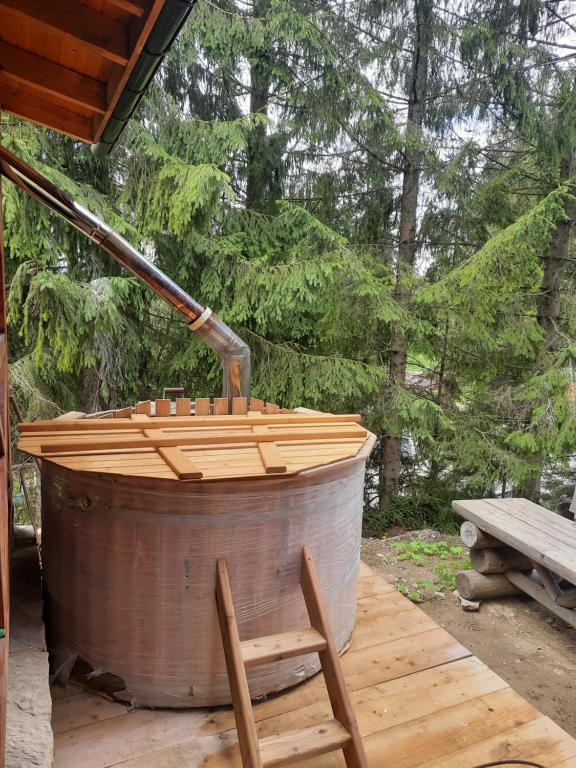 Fotografie z fotogalerie ubytování Hotel Novoe Shale v destinaci Jablunycja