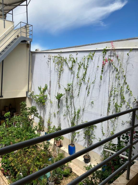 a fence with plants growing on the side of a building at quarto para Rapaz, centro, Sinop MT in Sinop