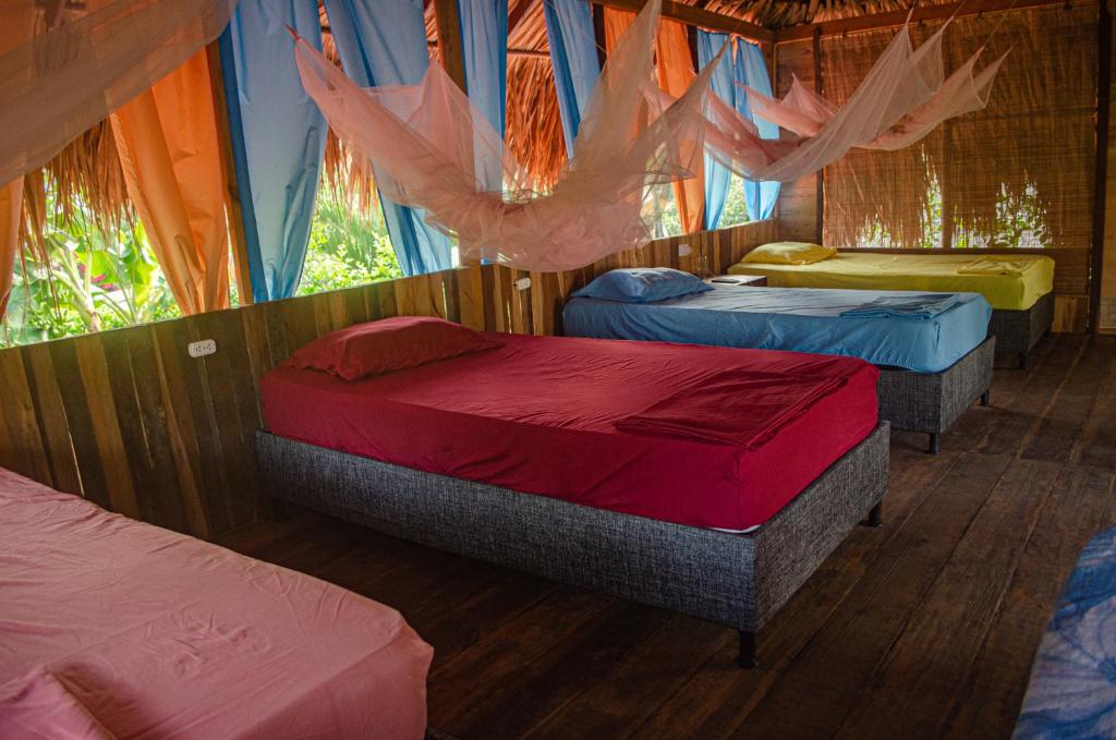 a group of four beds in a room at Ipqua Hostel in Palomino