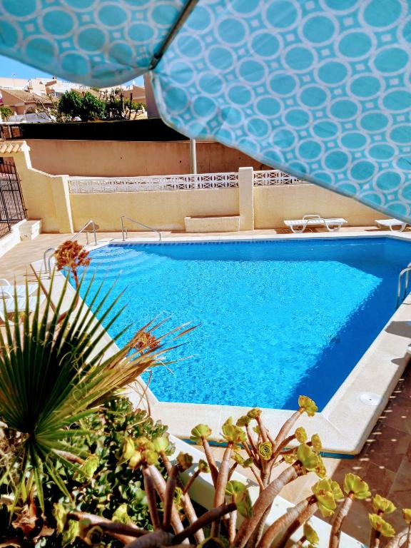 a blue swimming pool sitting next to some plants at Casa Bart de vacaciones in Mazarrón