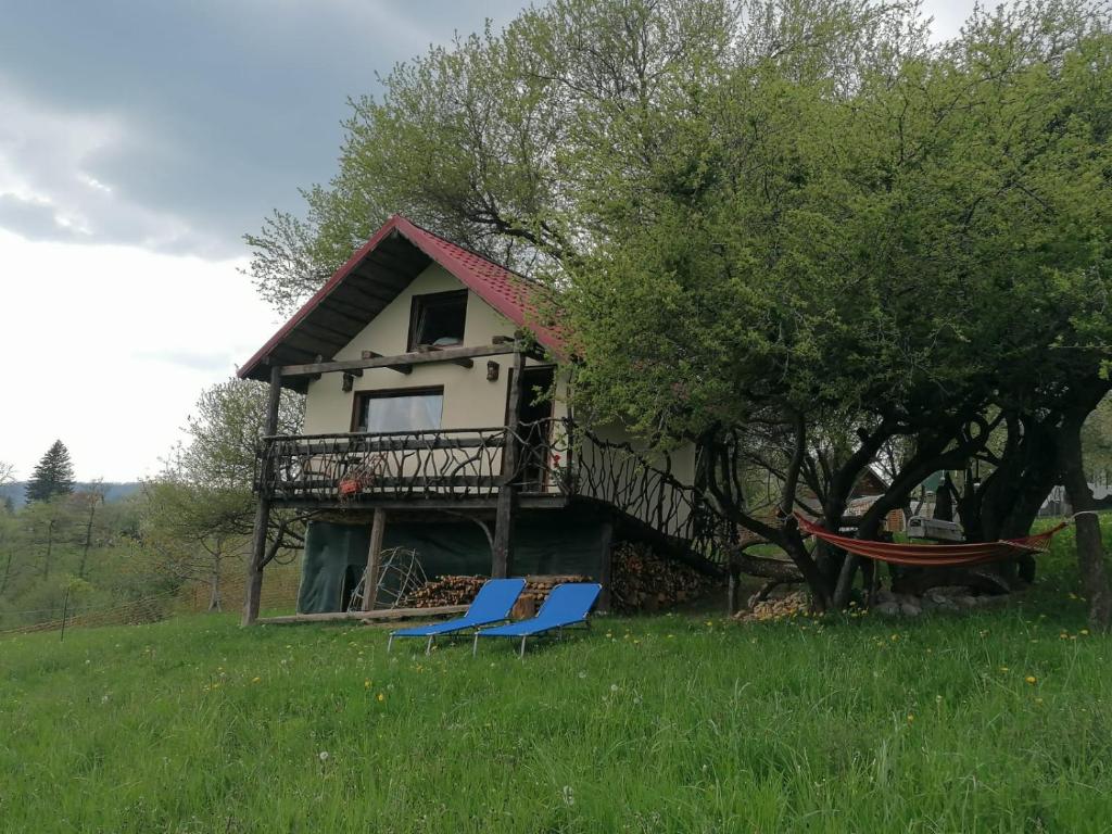 Zahrada ubytování Casa rustica