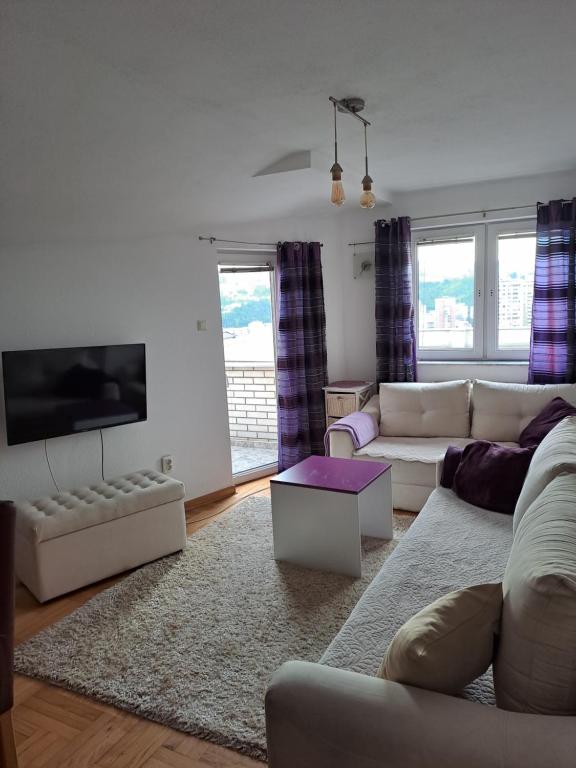 uma sala de estar com um sofá e uma televisão em Cool flat em Saraievo