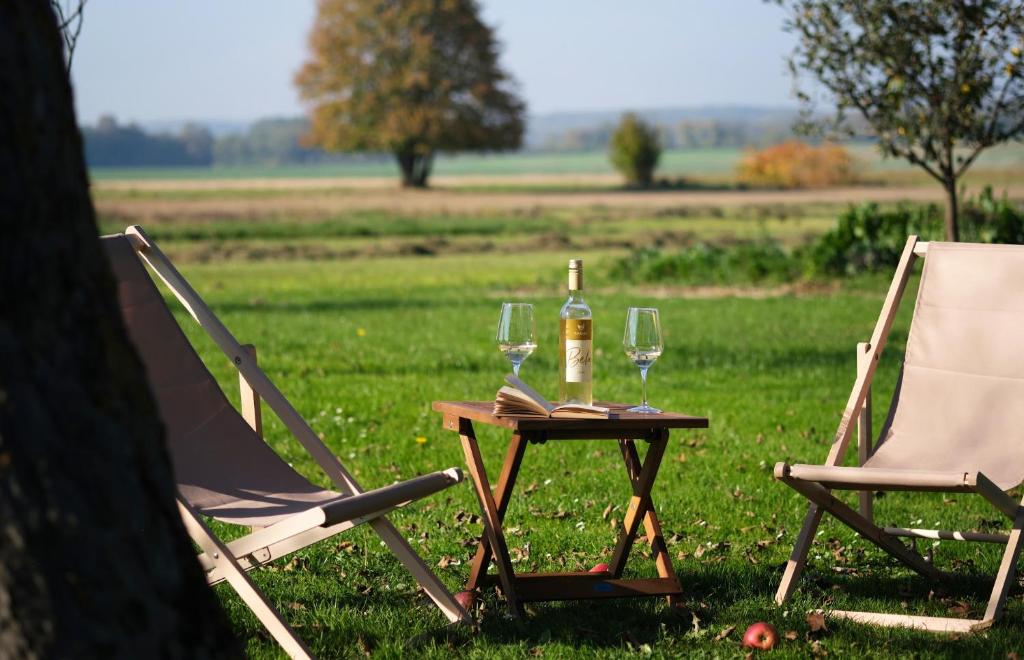 2 sillas y una mesa con una botella y copas de vino en Passero Holiday House en Moravske-Toplice