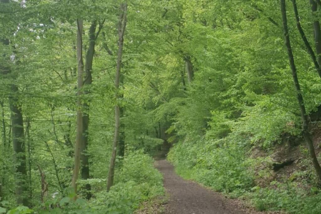 Příroda nedaleko apartmánu