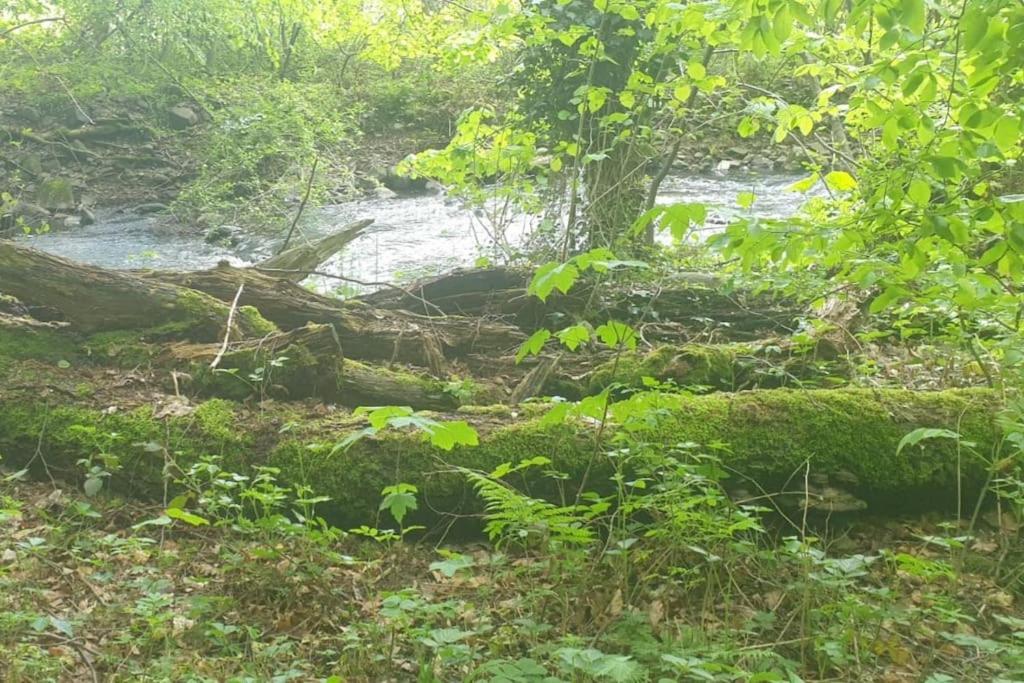 Příroda nedaleko apartmánu