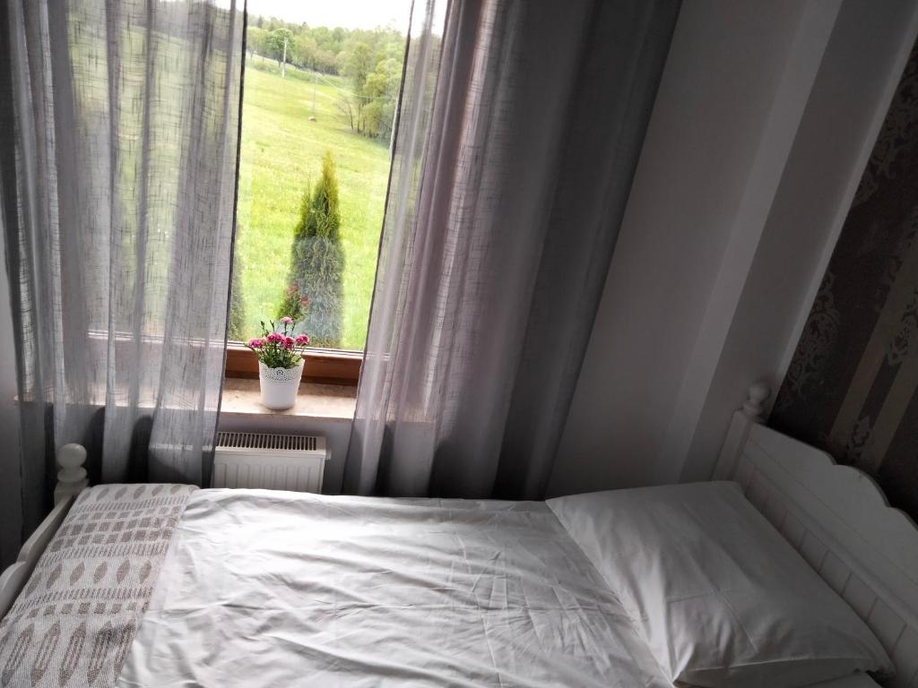 Przy Trójstyku - Pequeña Habitación Individual