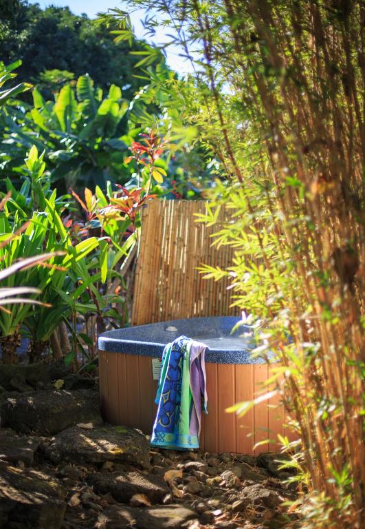 Um jardim em Holualoa Inn