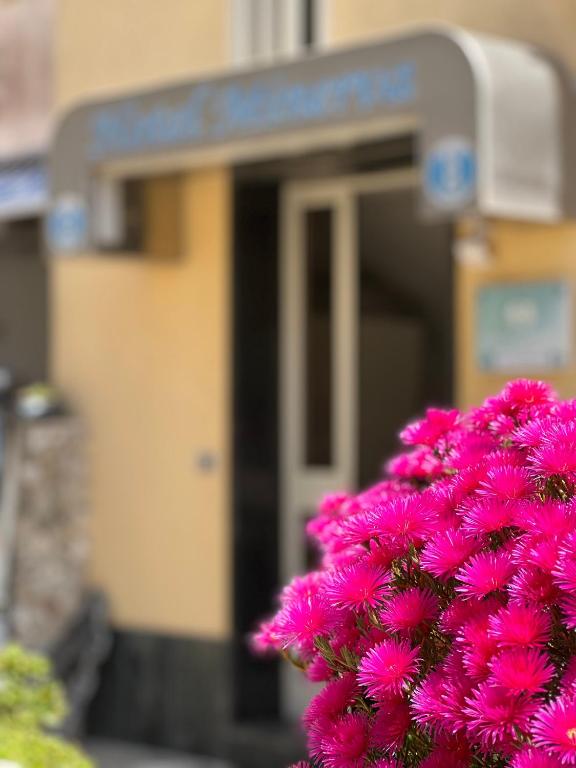Fotografie z fotogalerie ubytování Hotel Minerva v destinaci Otranto