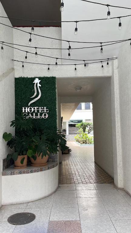 Certifikát, hodnocení, plakát nebo jiný dokument vystavený v ubytování Hotel Gallo