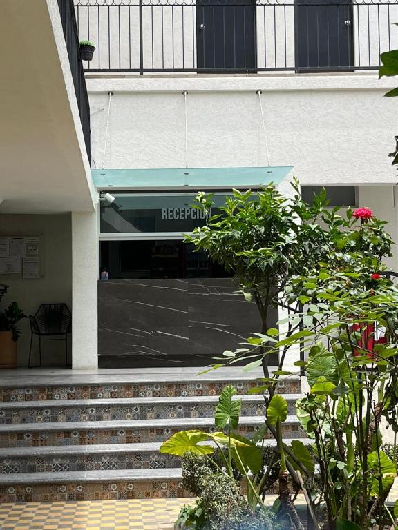 Zahrada ubytování Hotel Gallo