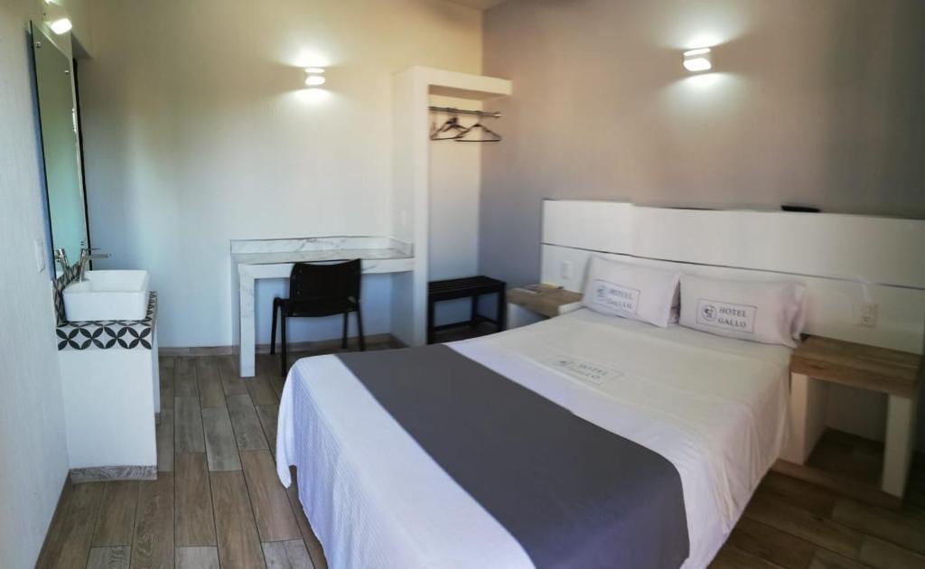 Schlafzimmer mit einem Bett, einem Schreibtisch und einem Tisch in der Unterkunft Hotel Gallo in Guadalajara