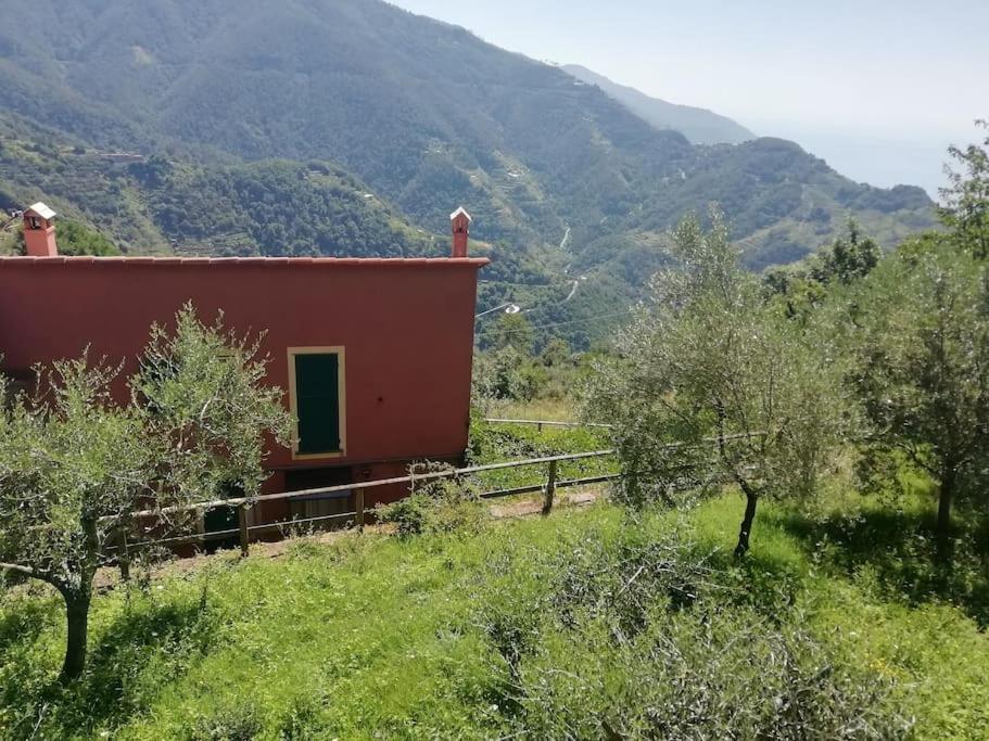 ein rotes Haus auf einem Feld mit Bergen im Hintergrund in der Unterkunft Quiet and Cozy home with Wi-Fi CASA PREARINO in Vernazza