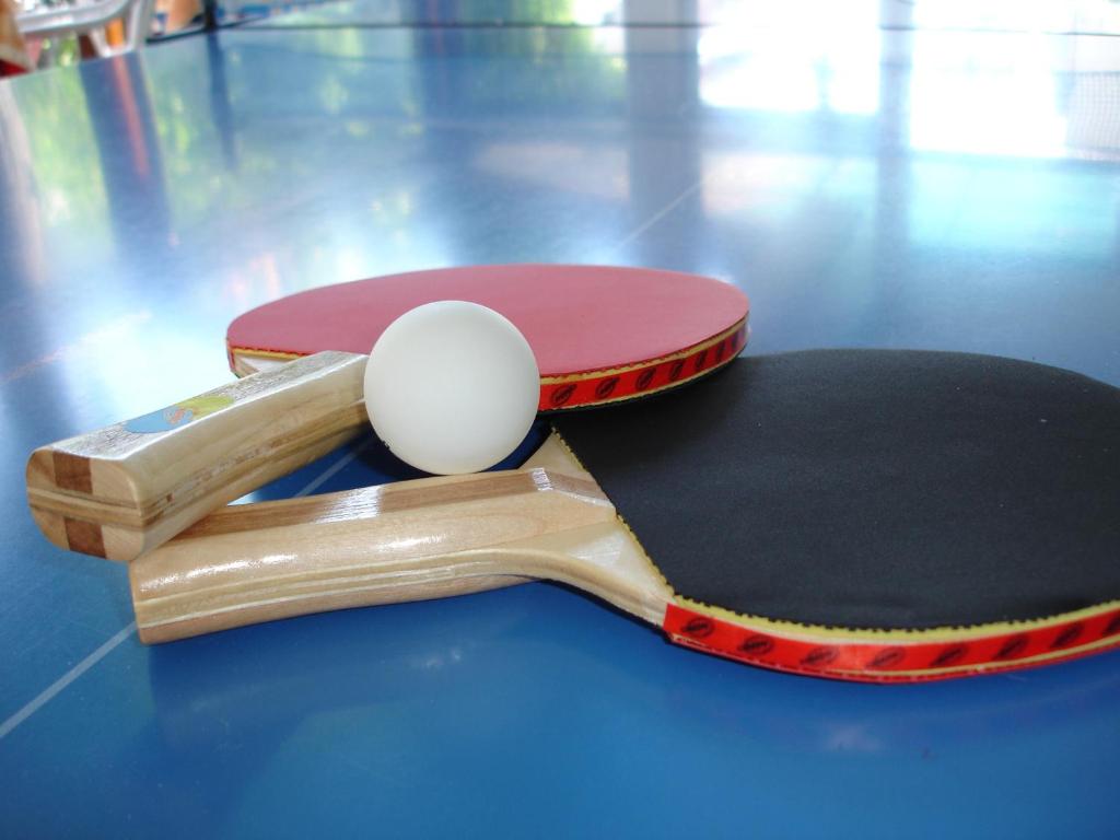 Stolní tenis v ubytování Hotel Apis nebo okolí